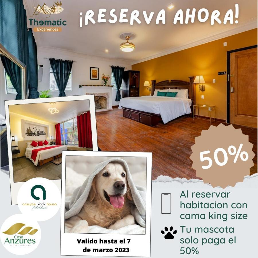 Hotel Anzures Black House Mexico